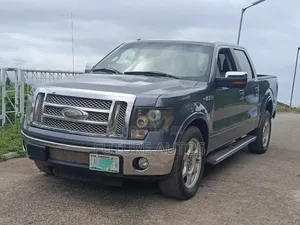 Ford F-150 2010 Blue