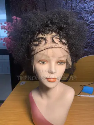 Braided Afro Wig