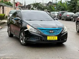 Hyundai Sonata 2013 Brown