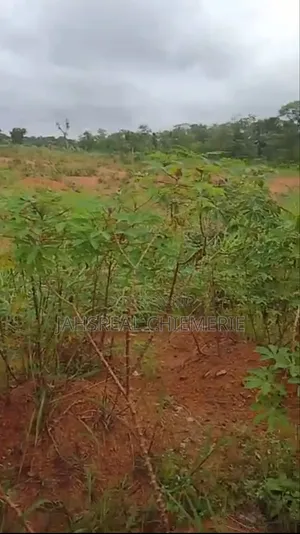 Two Plots of Land for Sale at Ebsu Ishieke
