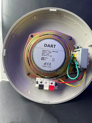 Dart Surface Passive Speaker 10watts