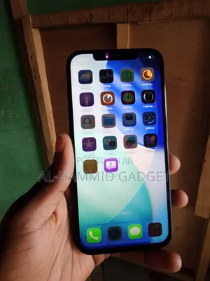 Apple iPhone 12 Pro Max 256 GB Blue