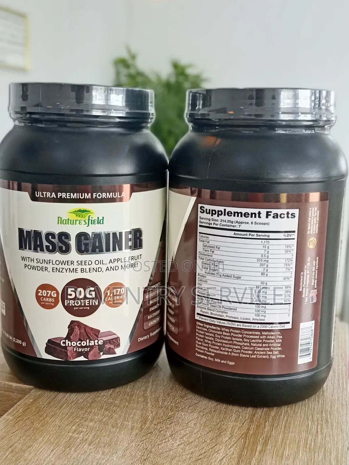 Nature's Field Mass Gainer