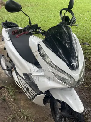 Honda 2020 White