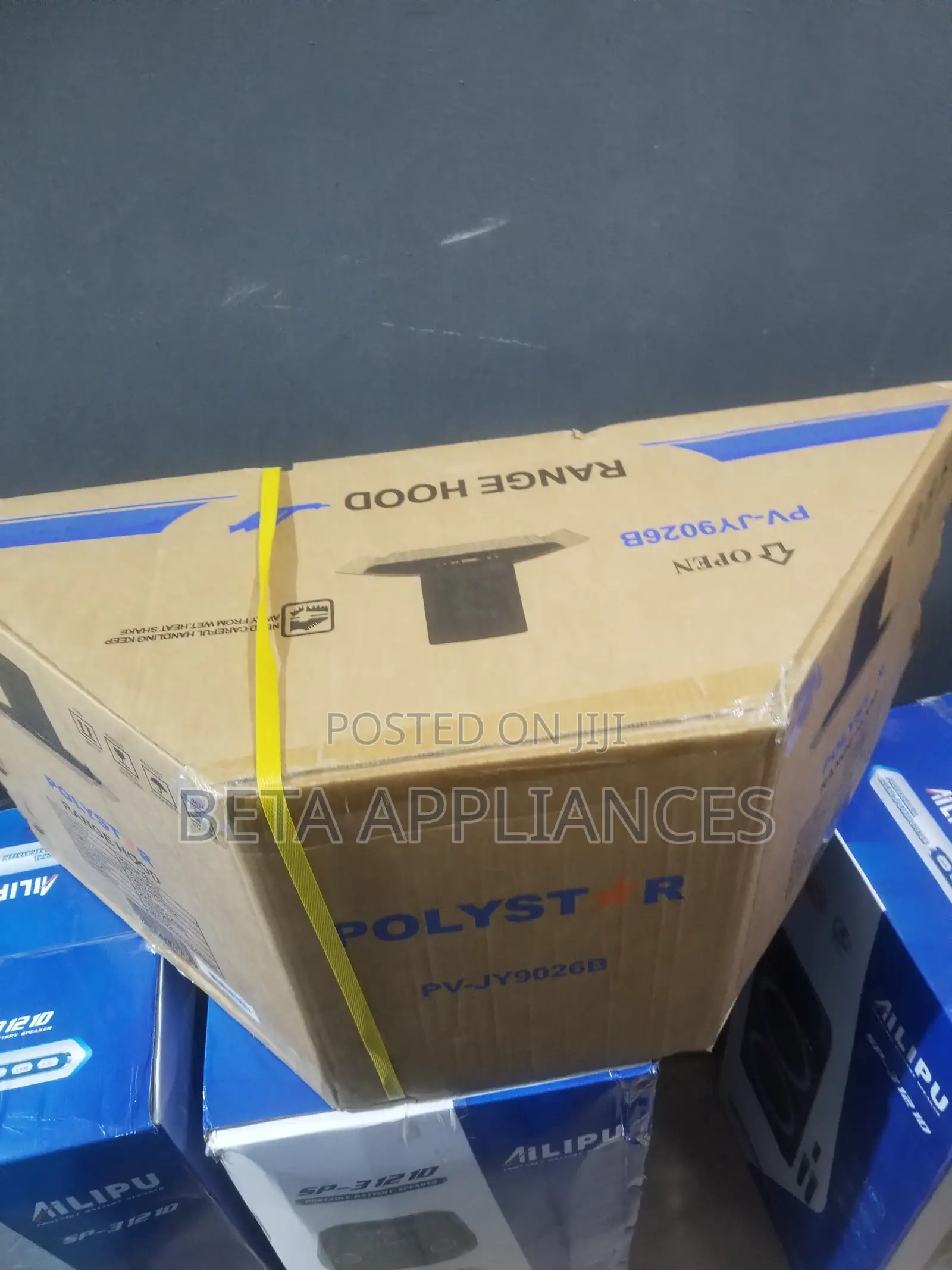 Polystar Elegant Wall Mounted Hood