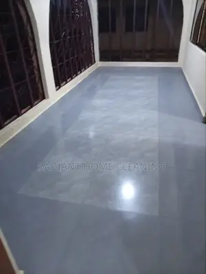 Professional Cleaning Services