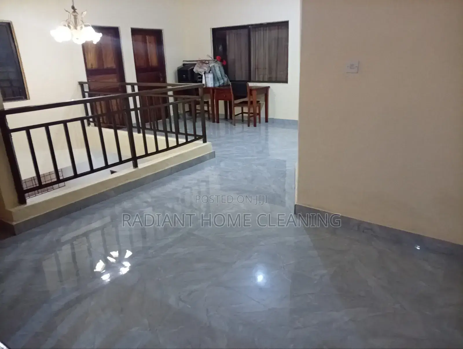 Professional Cleaning Services