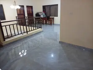 Professional Cleaning Services