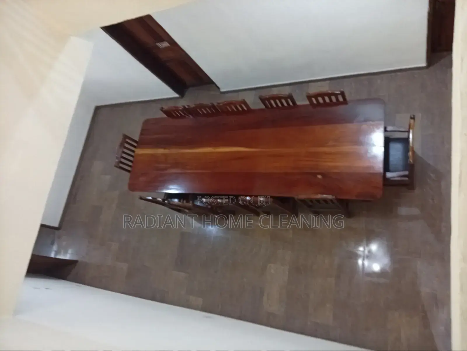 Professional Cleaning Services