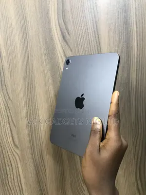 Apple iPad mini 7 128 GB Gray