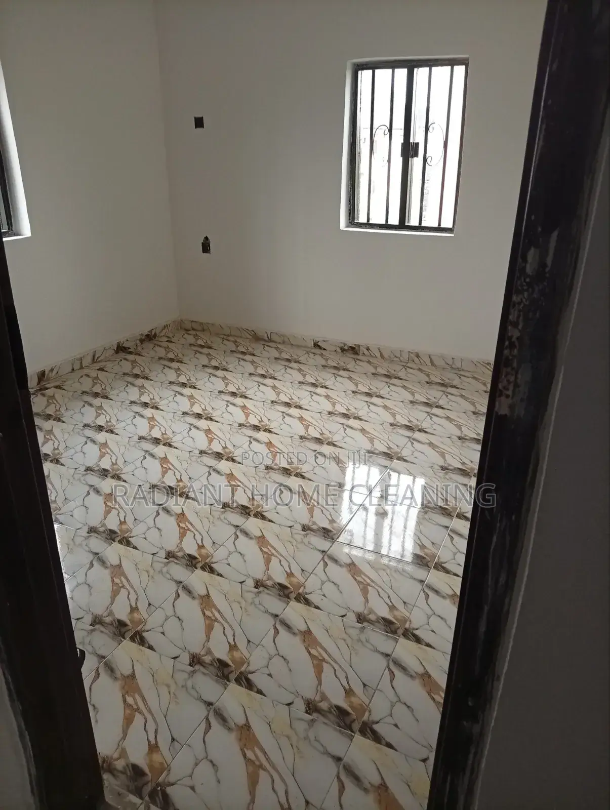 Professional Cleaning Services