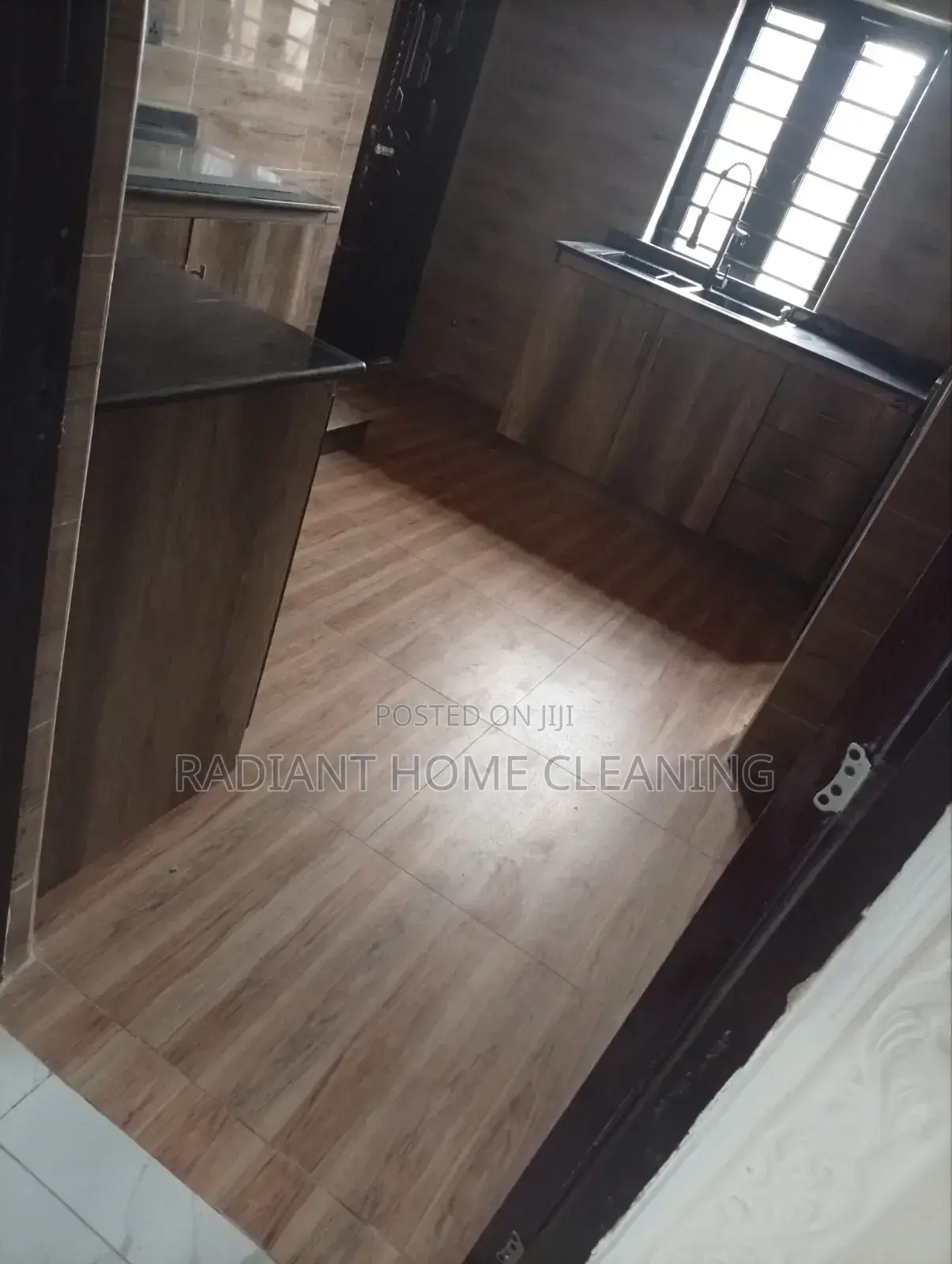 Professional Cleaning Services