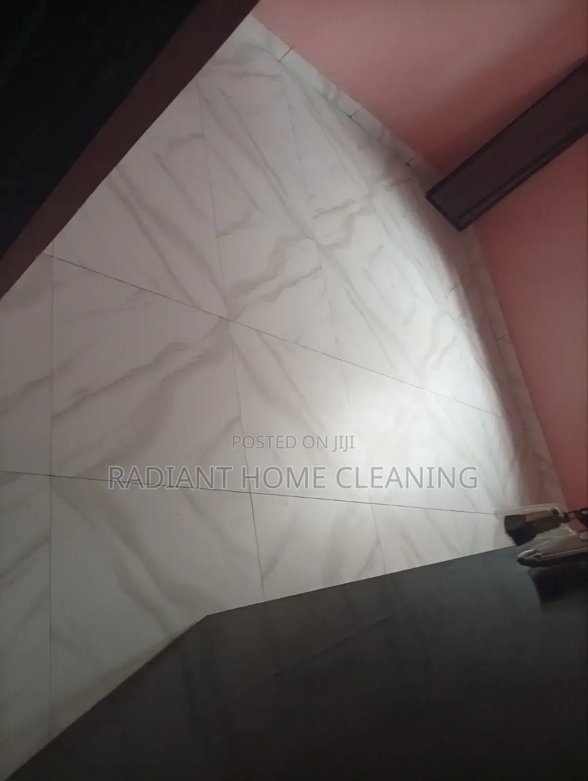 Professional Cleaning Services
