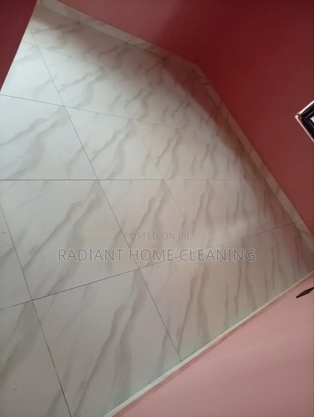 Professional Cleaning Services