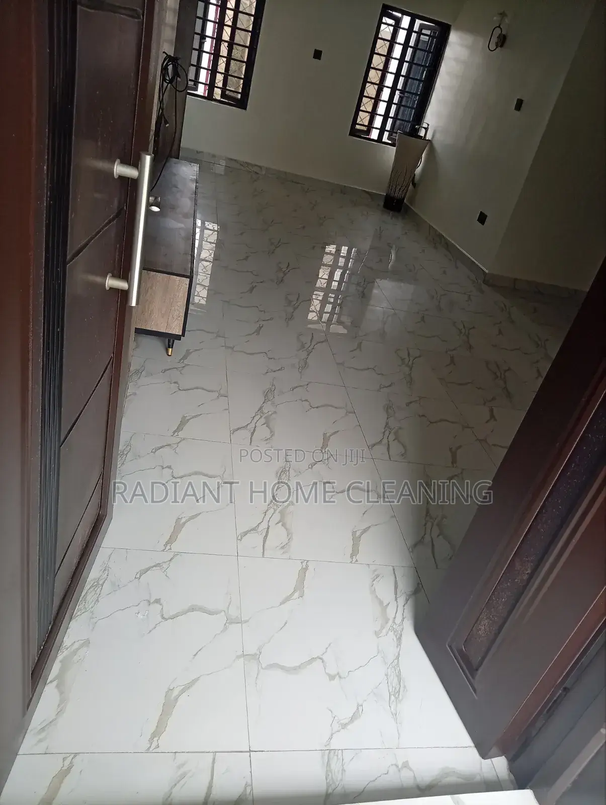 Professional Cleaning Services