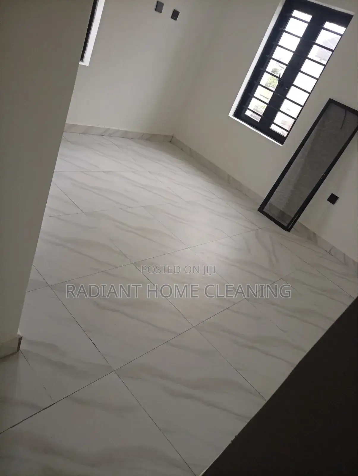 Professional Cleaning Services