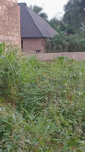 Land for Sale 2m Per Plot