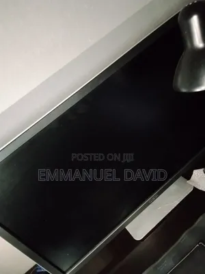 Dell Desktop Monitor