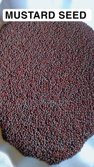 Mustard Seeds 100g– Premium Mustard Seeds for Cooking and Digestion