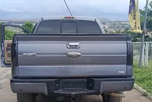 Ford F-150 2010 Gray