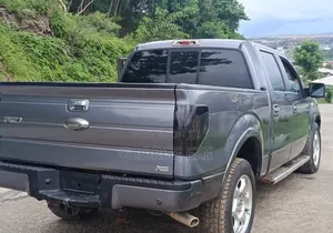 Ford F-150 2010 Gray