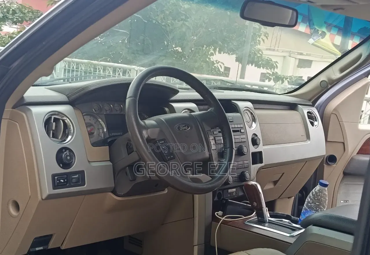 Ford F-150 2010 Gray