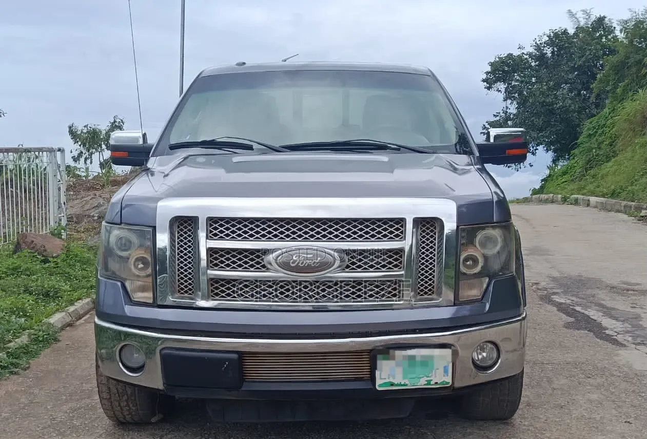Ford F-150 2010 Gray