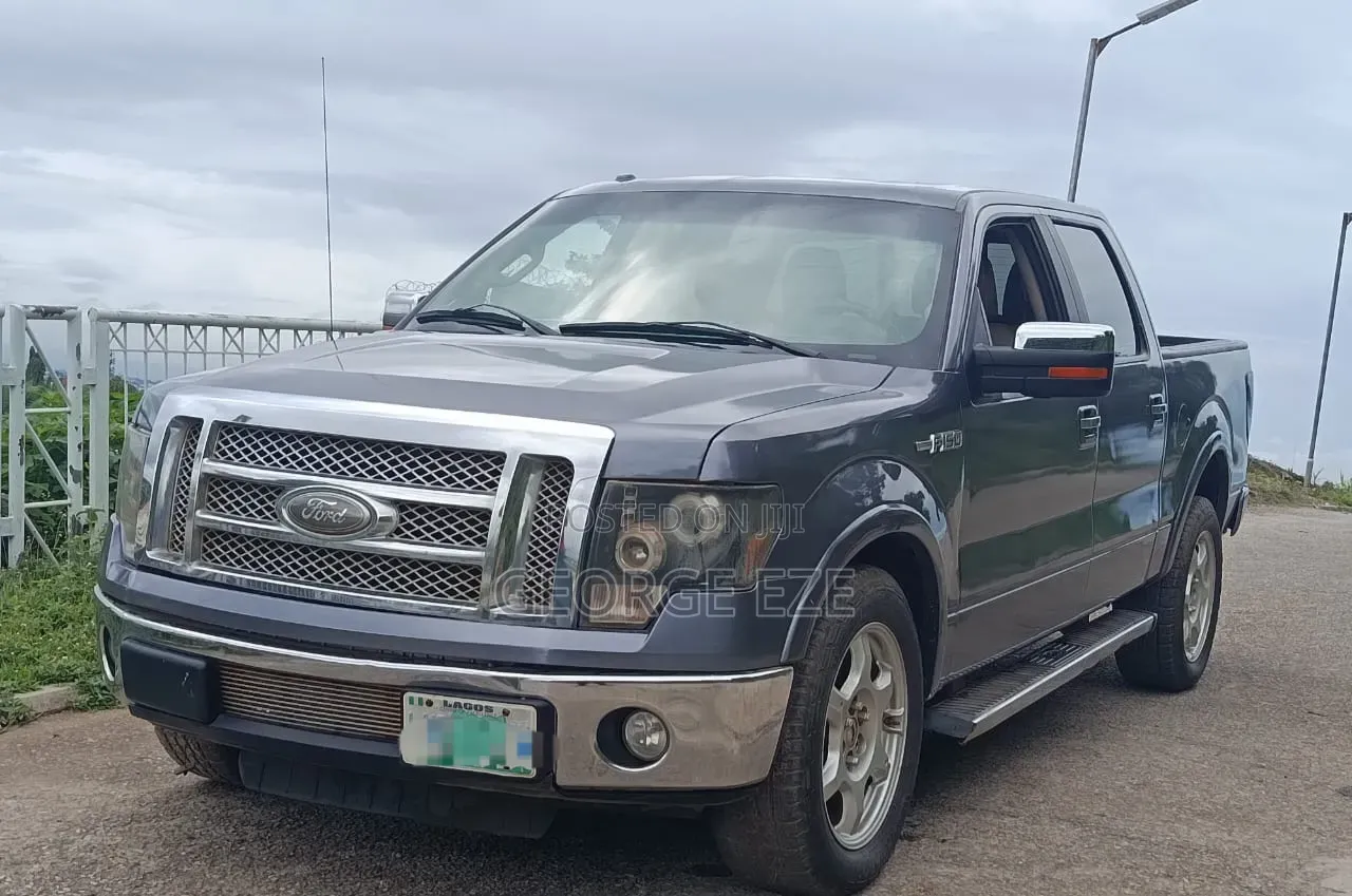 Ford F-150 2010 Gray