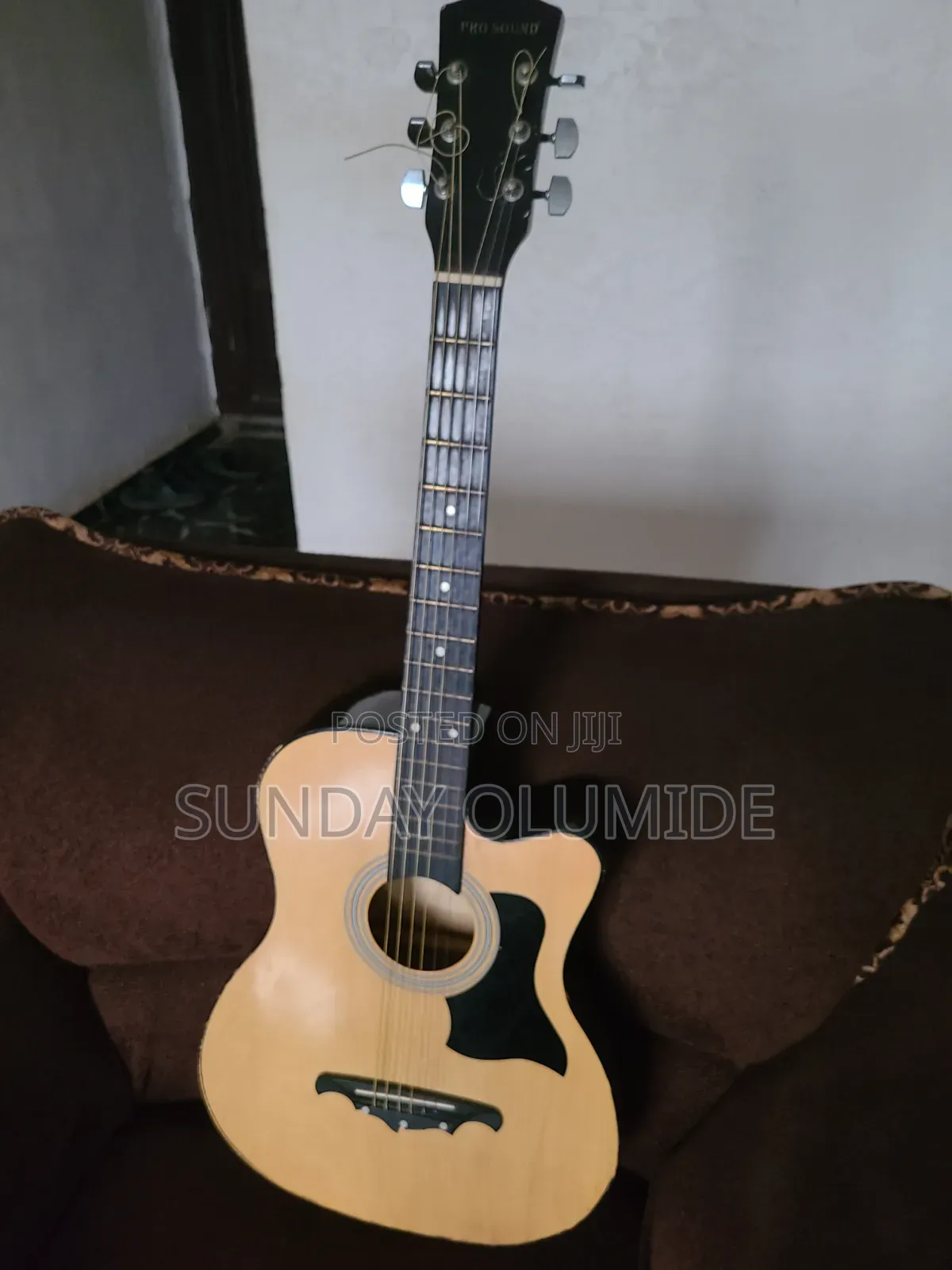 Acoustic Music Guitar
