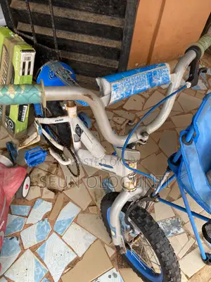 Kid Bicycle