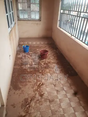 Professional Cleaning Sevices in Enugu