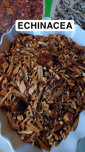 Echinacea Herb 100g– Premium Echinacea for Immune Support