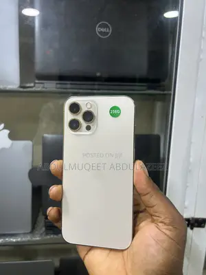 Apple iPhone 12 Pro Max 256 GB Blue