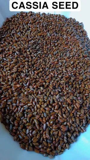 Cassia Seeds 100g– Premium Cassia Seeds for Herbal Tea and Eye Health