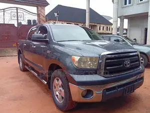 Toyota Tundra 2010 Blue