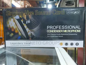 Professional Condenser With Microphone