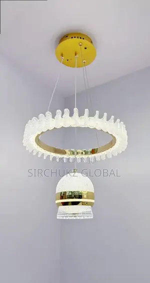 Modern Nordic LED Ring Pendant Light