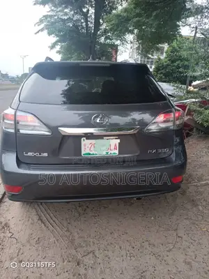 Lexus RX 350 2010 Gray