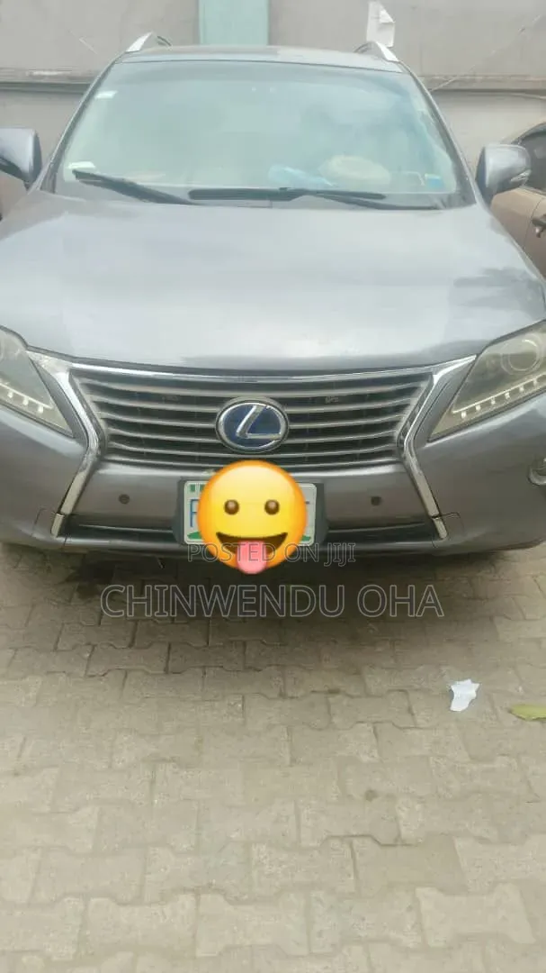 Lexus RX 2013 Gray