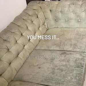 Professional Sofa Cleaning