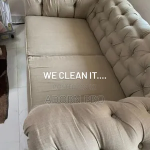 Professional Sofa Cleaning