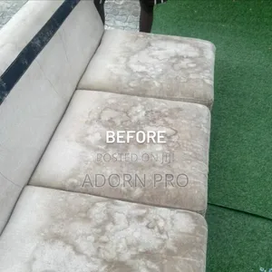Professional Sofa Cleaning
