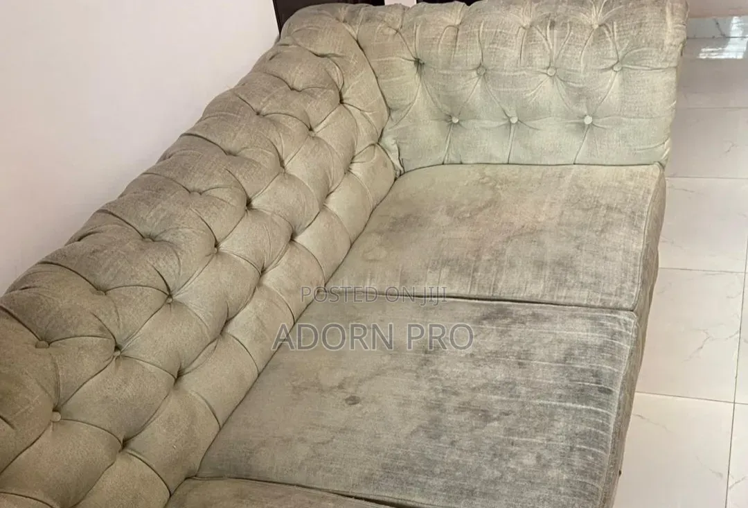 Professional Sofa Cleaning