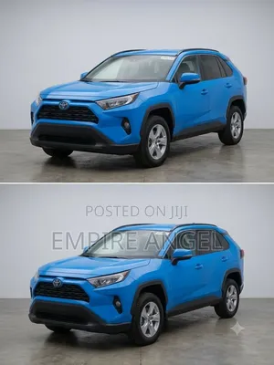 Toyota RAV4 LE AWD 2019 Blue