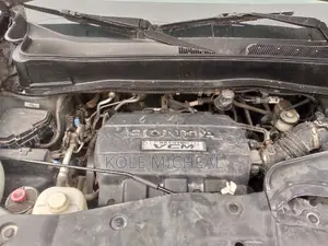 Honda Pilot 2009 Gray