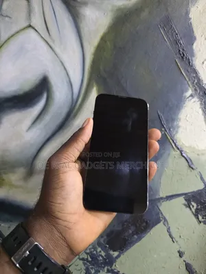 Apple iPhone 13 Pro Max 256 GB Green