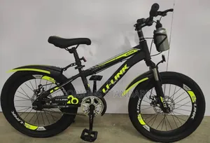 BICYCLE SIZE 20 Green and Black Color