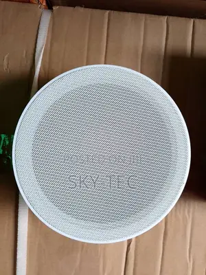 Original Eagle 25watts Ceiling Speakers