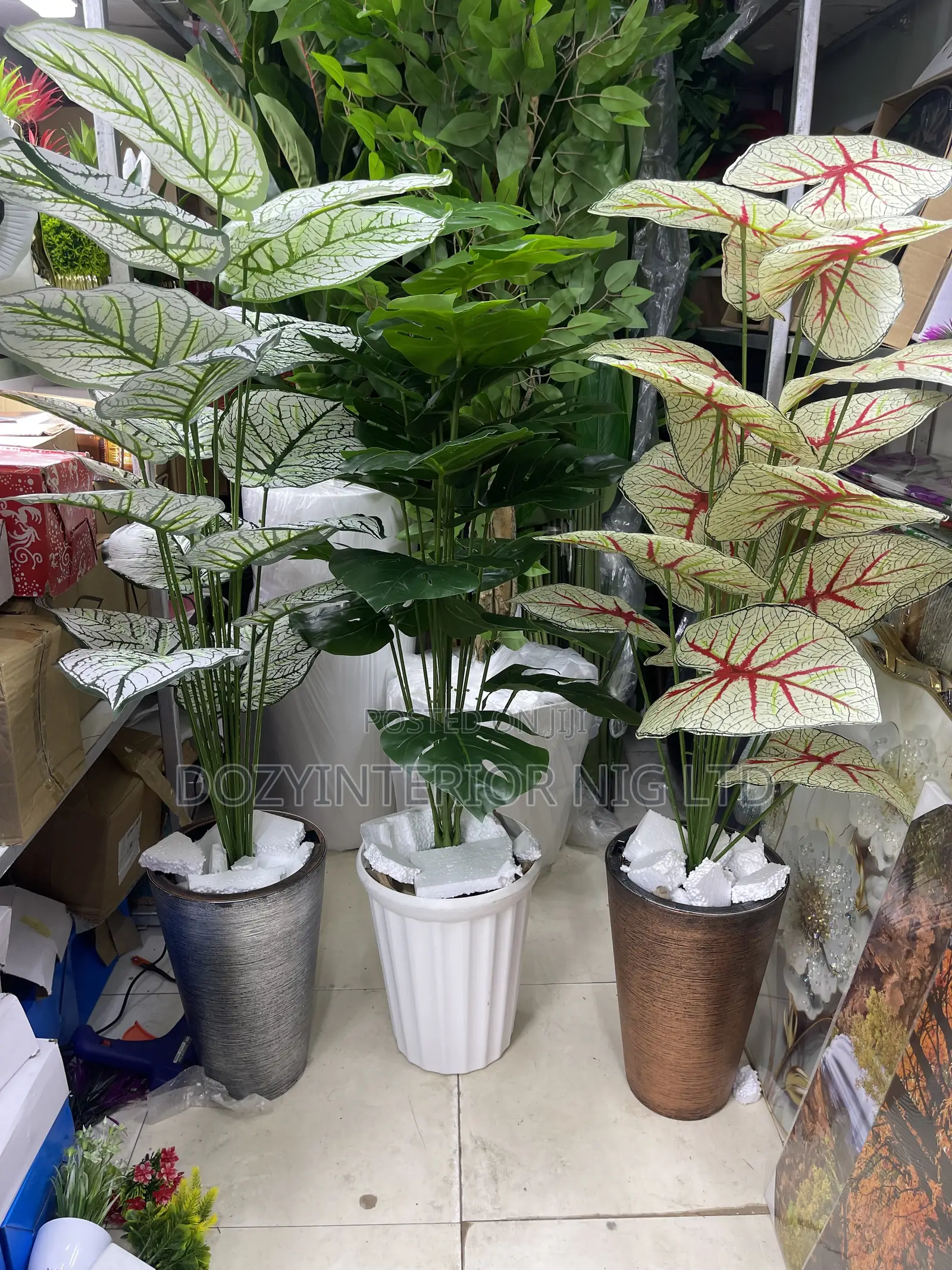 Pot and Plant