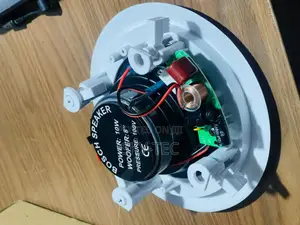 Original Bosch Smart Home Ceiling Speakers